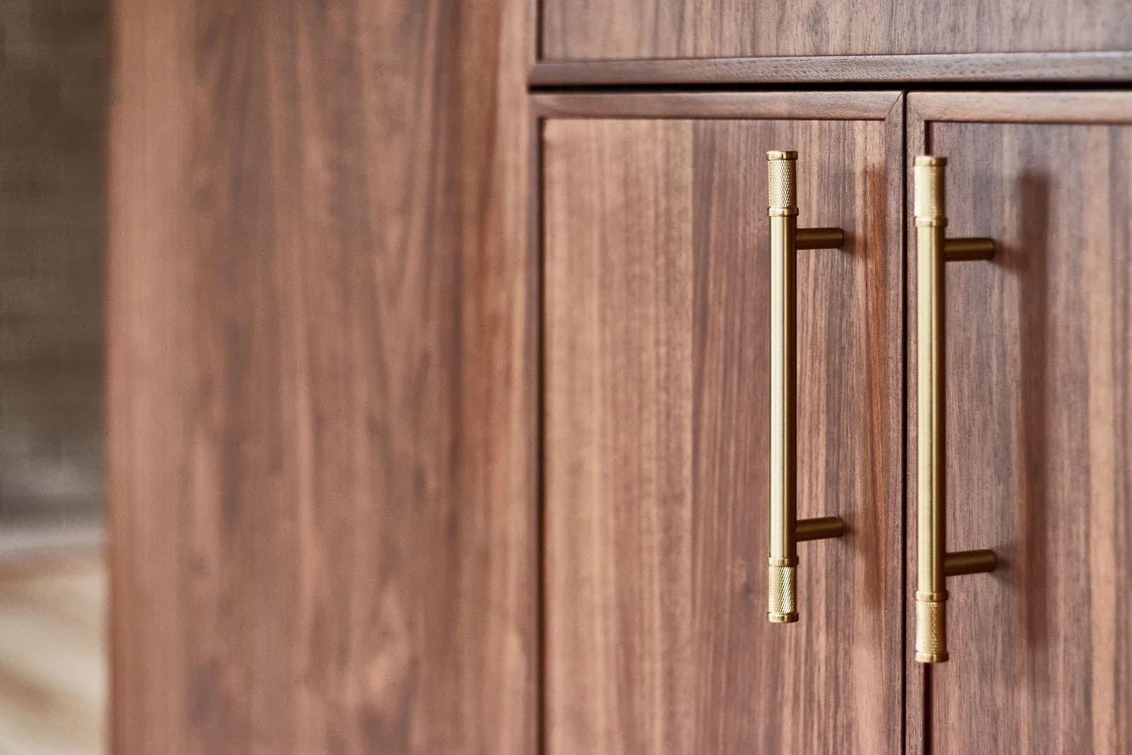 Walnut cabinet fronts and brass pulls, Bellevue, WA